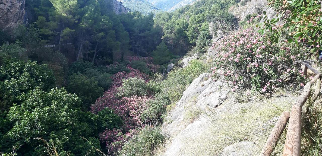 Hostal Rural De Cuadros Bedmar y Garciez Екстериор снимка